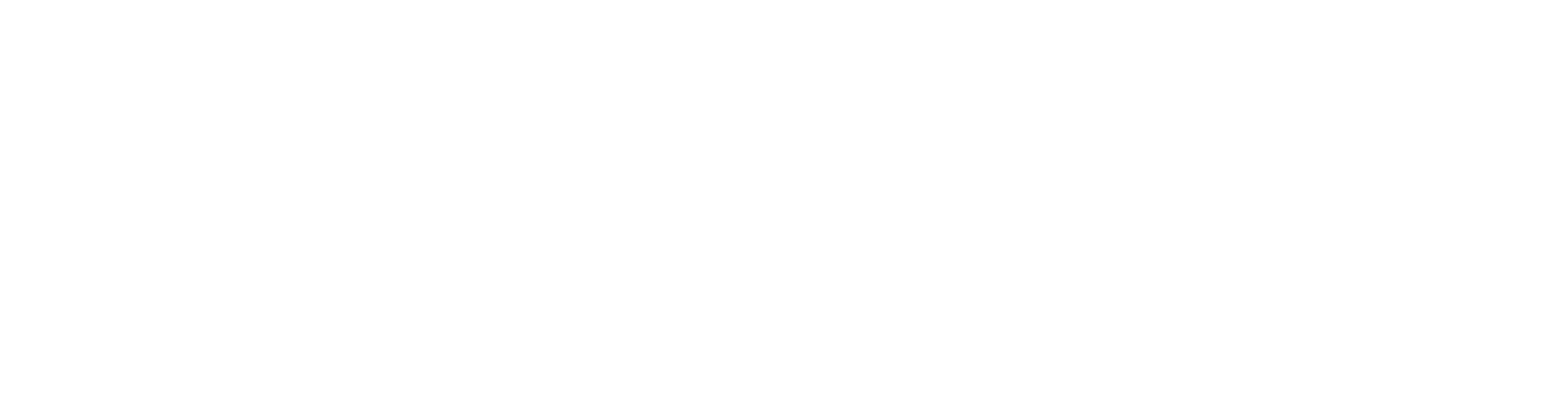 FF_Logo3White